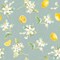 Floursack Lemon Pattern III Poster Print by Danhui Nai - Item # VARPDX45796